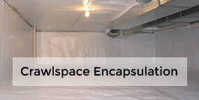 Crawl Space Repair Services